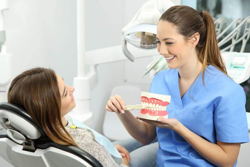 Female dentist brushing model of teeth in front of patient