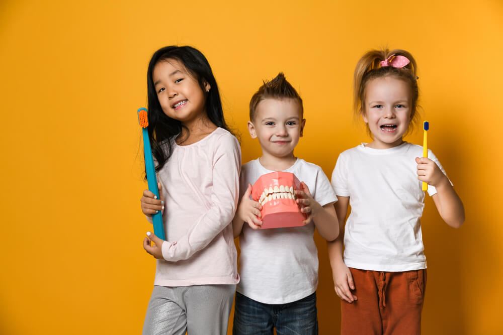 Three children holding toothbrushes and model of teeth
